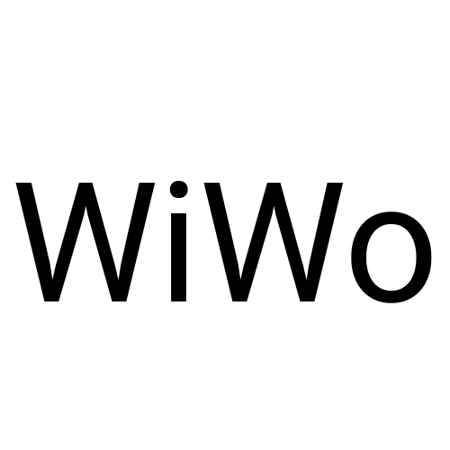 WiWo_Roboto-2